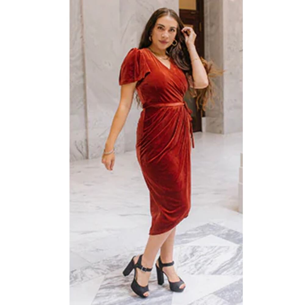 Ivy City Co Lilly Velvet Midi Dress Size 1X